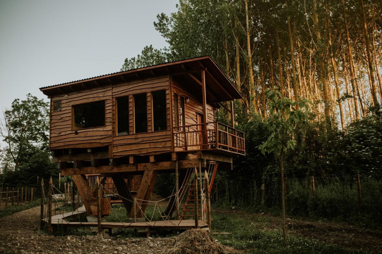 Bonita Cabana De Los Arboles En La Rioja , Durmiendo Entre Arboles Anguciana 外观 照片