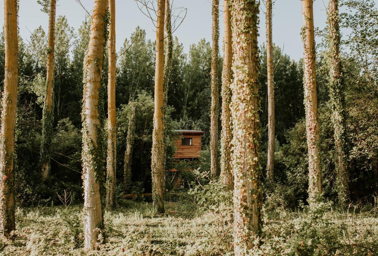 Bonita Cabana De Los Arboles En La Rioja , Durmiendo Entre Arboles Anguciana 外观 照片