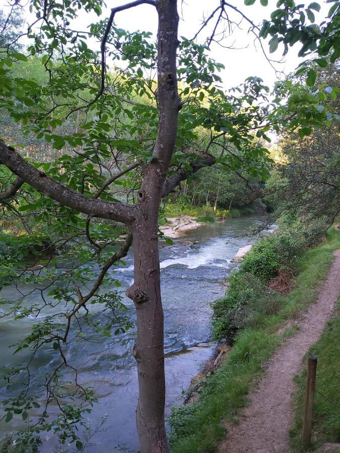 Bonita Cabana De Los Arboles En La Rioja , Durmiendo Entre Arboles Anguciana 外观 照片