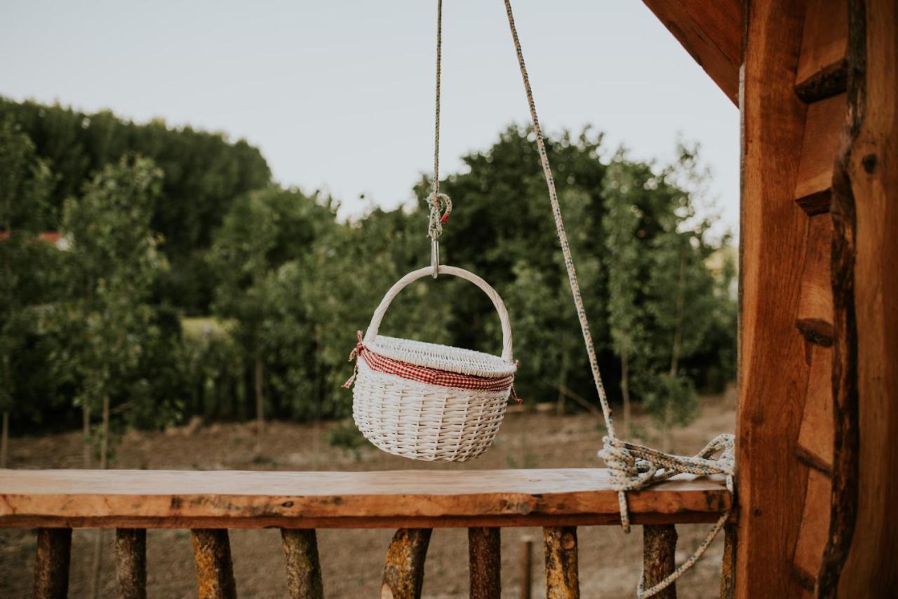 Bonita Cabana De Los Arboles En La Rioja , Durmiendo Entre Arboles Anguciana 外观 照片